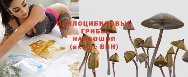 трава Горно-Алтайск