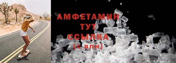 крисы Горняк