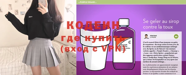 крисы Горняк