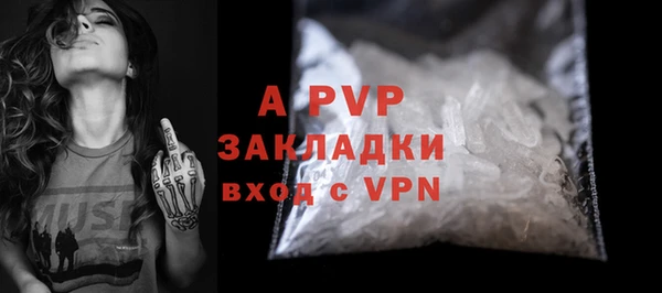 крисы Горняк