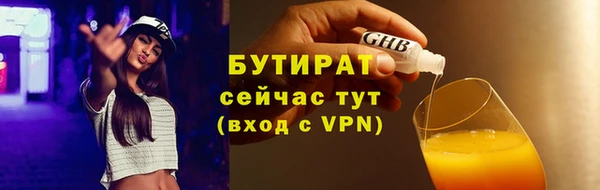 крисы Горняк