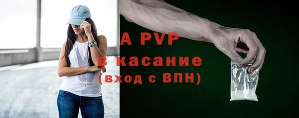 крисы Горняк