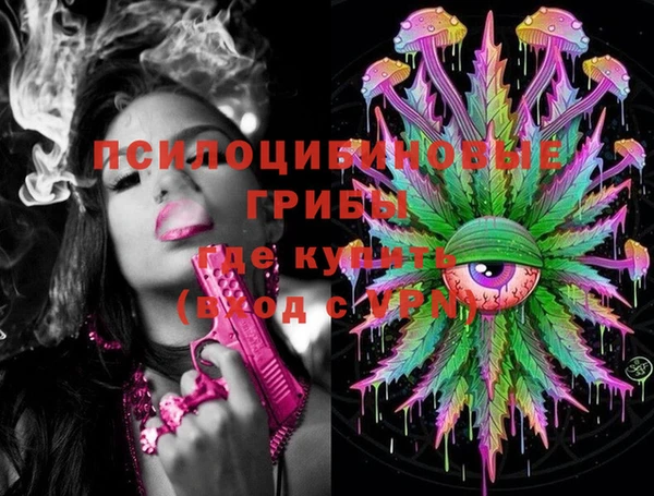бошки Горнозаводск