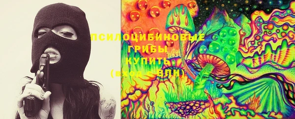 бошки Горнозаводск