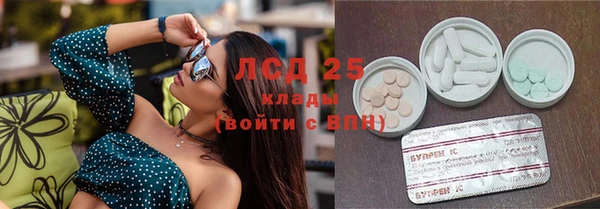 крисы Горняк