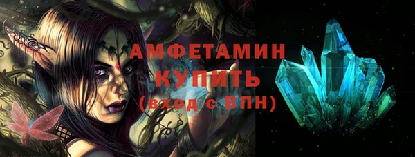крисы Горняк