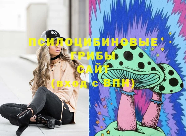 бошки Горнозаводск