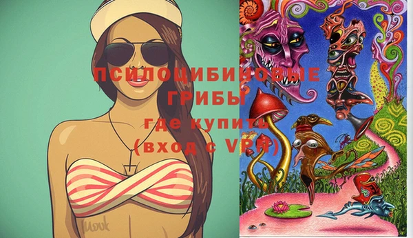 бошки Горнозаводск