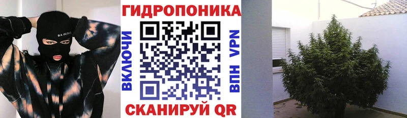 Канабис семена  Купить  Бирск 
